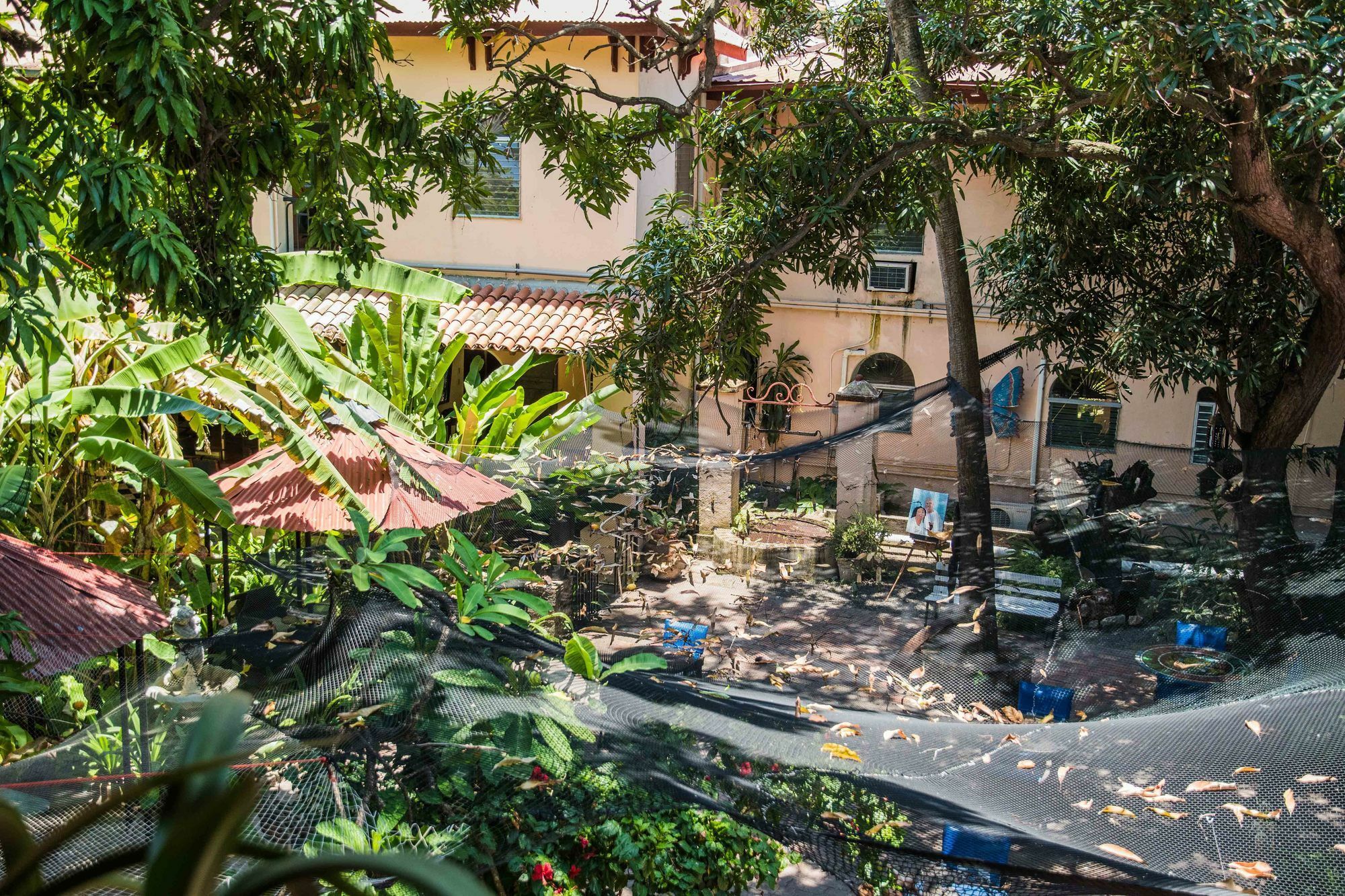 קאפ-האיטיין Hotel Du Roi Christophe מראה חיצוני תמונה